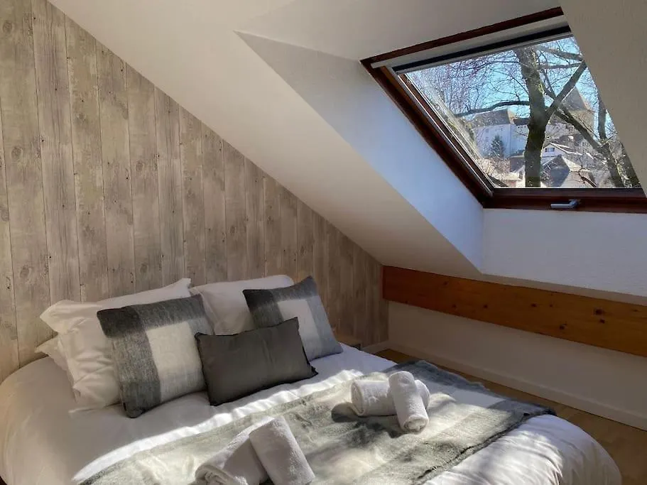 Apartment L'Orme • Duplex Central Au Bord Du Canal Annecy
