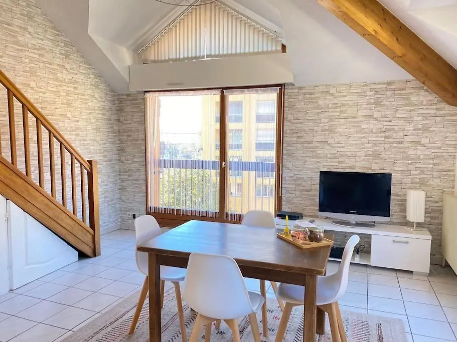 L'Orme • Duplex Central Au Bord Du Canal Annecy Apartment