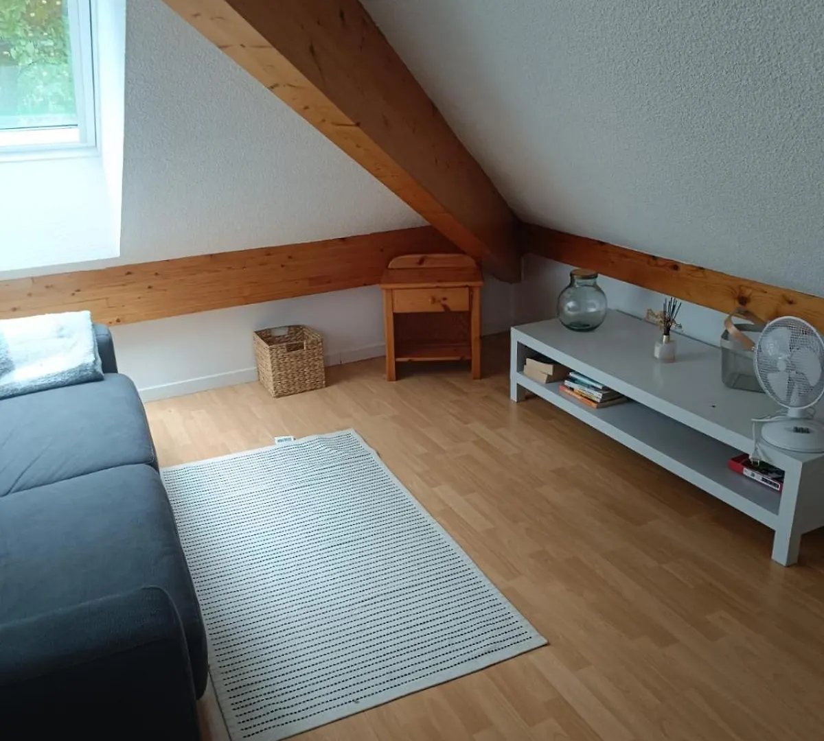 شقة L'Orme • Duplex Central Au Bord Du Canal آنسي فرنسا